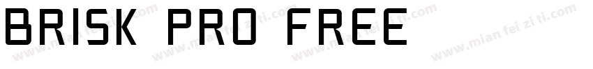 Brisk pro Free字体转换